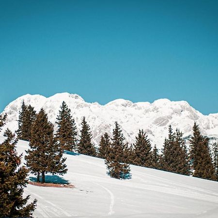 Chalet Neza Velika Planina Stahovica Exteriér fotografie