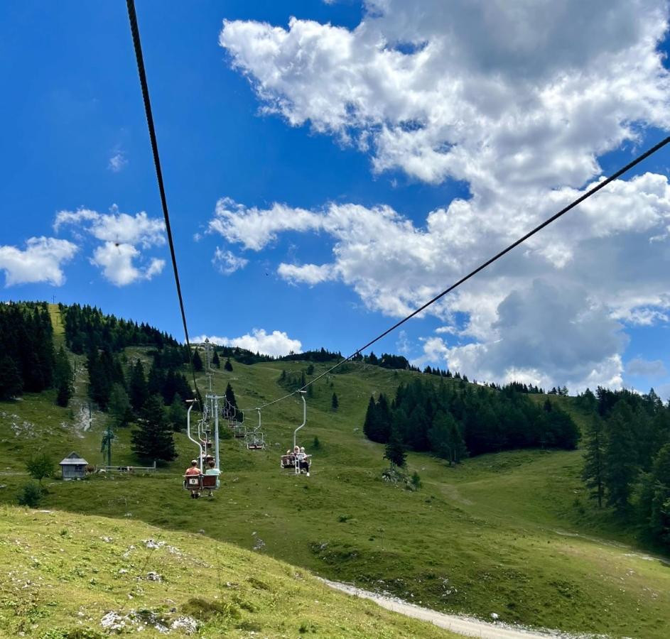 Chalet Neza Velika Planina Stahovica Exteriér fotografie
