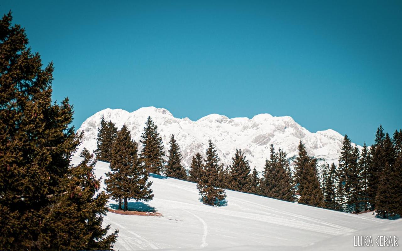 Chalet Neza Velika Planina Stahovica Exteriér fotografie